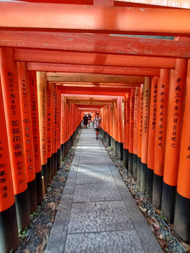 京都景點｜超壯觀千本鳥居—京都伏見稻荷大社—藝妓回憶錄