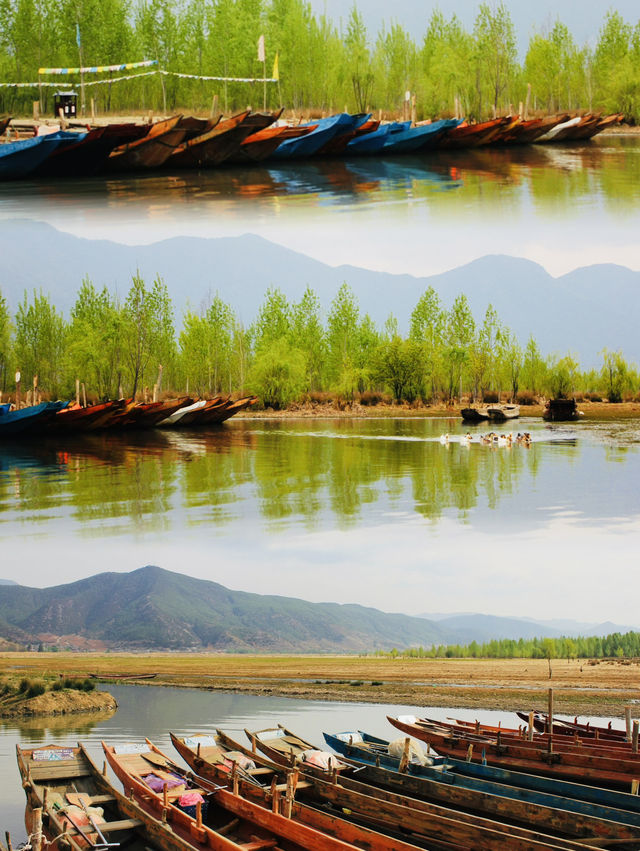 Kayaking on Lugu Lake: Exploring the Waters in a Traditional Mosuo Pig Trough Boat