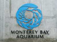 Monterey Bay Aquarium สหรัฐอเมริกา