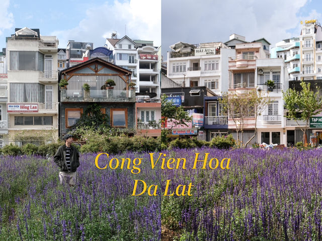 Cong Vien Hoa ทุ่งดอกไม้กลางเมืองดาลัด