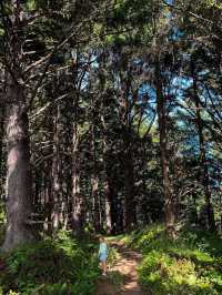 A Day in Ecola State Park 🌳 