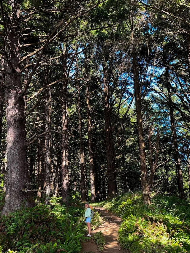 A Day in Ecola State Park 🌳 