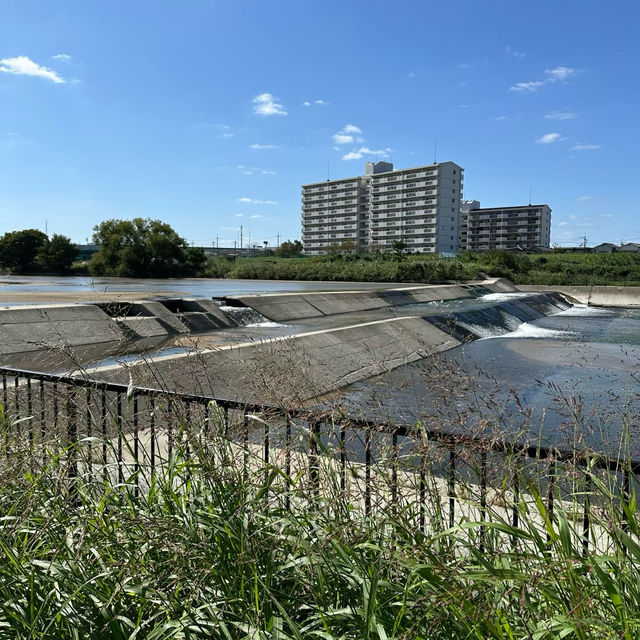 麥野一丁目公園：遊玩與放鬆的完美天地 🌳🎉