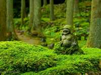 【愛媛県】苔むす絶景カフェの癒し空間「苔むしろ」