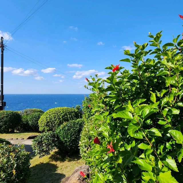 白浜温泉目の前の風景