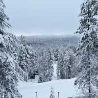 Lapland’s Hidden Gem: A Dreamlike Escape at Arctic TreeHouse Hotel