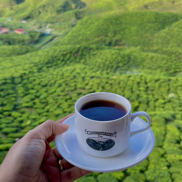 차와 자연을 사랑하는 분들을 위해 ☕️🍀!