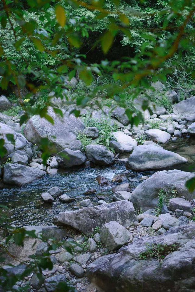 一頭扎進山林裡｜大口吸氧