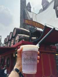 Explore the Wizarding Wonders of Harry Potter World🪄