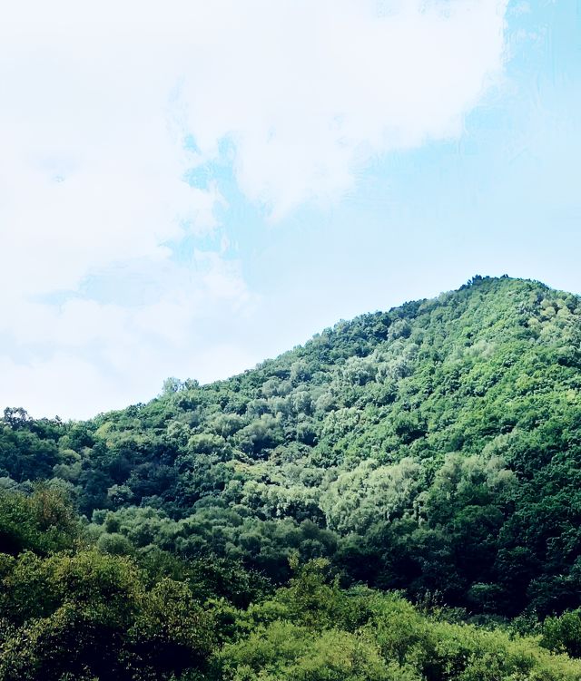 "探索六盘山！揭開千年古道與原始森林的神秘面紗！"