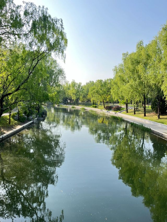 心血來潮朝陽公園行。