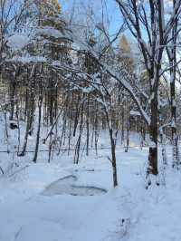 雪谷嘉鑫客棧