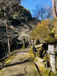 日本·京都高雄西明寺