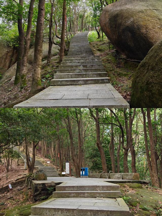 深圳爬山｜登頂鳳凰山｜郊野徑一遠足徑