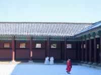 The iconic Gyeongbokgung Palace 🇰🇷