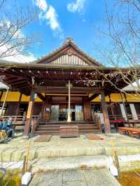 【京都】花手水がかわいい勝林寺🌸🌼御朱印やお守りもカラフル✨️