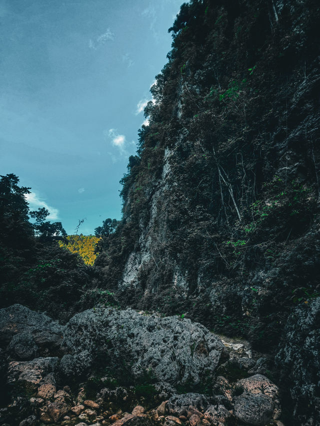 A forest retreat in 🇵🇭 