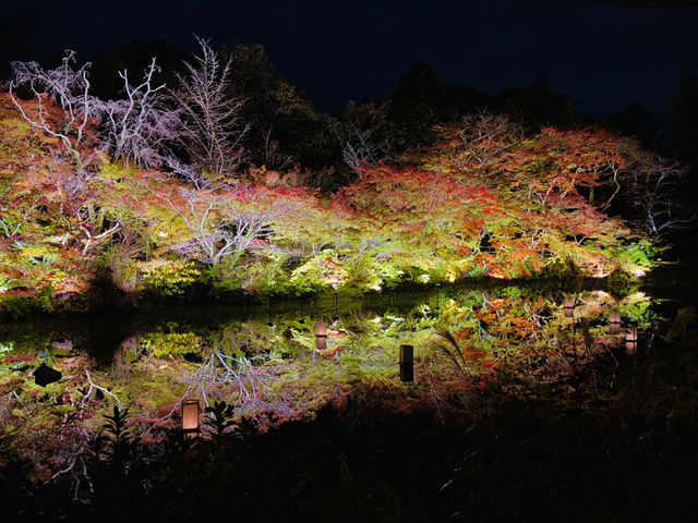 How to make this autumn extraordinarily beautiful! It’s the spectacular night autumn leaves 