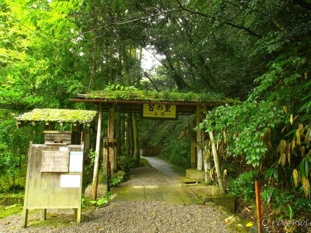 【石川県】日本有数の苔の絶景！「日用苔の里」