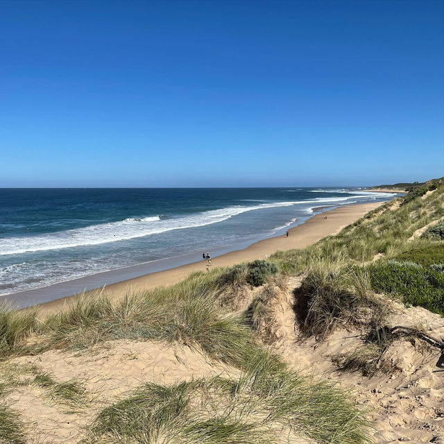 Coastal Bliss at Cape Paterson Beach