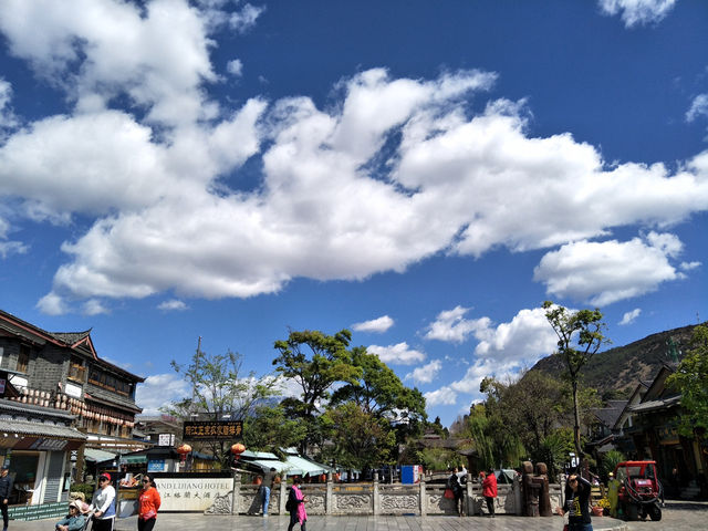 Blooming Beauty in Lijiang