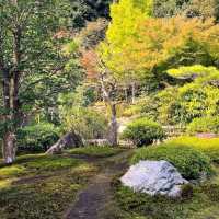 Kegonji Temple (Suzumushi-dera Temple)