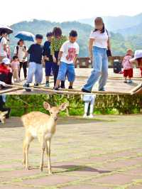 勇敢的人類幼崽 每次出門都是成長的飛躍。