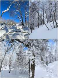 到哈爾濱一定要去雪谷看霧凇追日落｜附攻略。