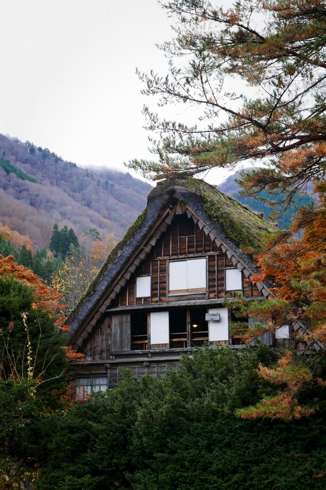 白川鄉避雷指南：周三勿往，出行必備攻略。