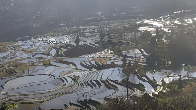 12月的元陽梯田，是不是也不錯