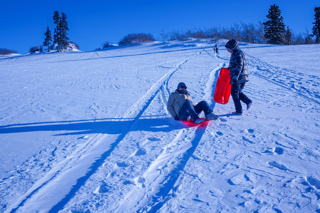 加拿大懷特霍斯冬季雪上旅行攻略