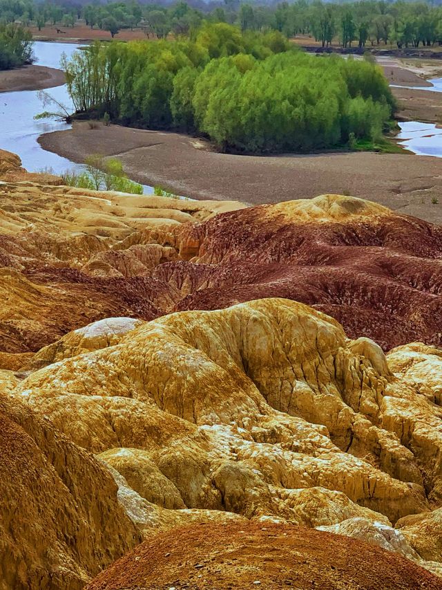 過年不宅家8日橫穿阿勒泰地區-伊犁 玩轉冬日仙境