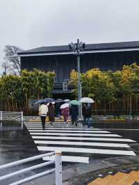 「東京根津美術館：低調內凹入口🚶‍➡️，日式庭院咖啡店🏖️🔥」