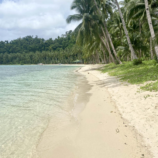 Coconut Beach, pigs roam this Philippines gem 🐖🏖️