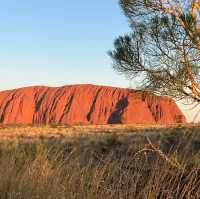 Uluru's Breathtaking Vista