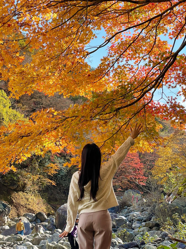 [제주] 숨겨진 제주단풍명소가 궁금해요? *약간의 등산필요