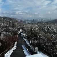 A White Wonderland: N Seoul Tower in the Snow