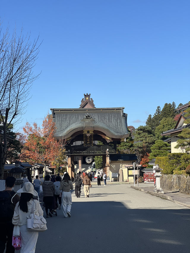 Takayama: A Day of Charm and Serenity