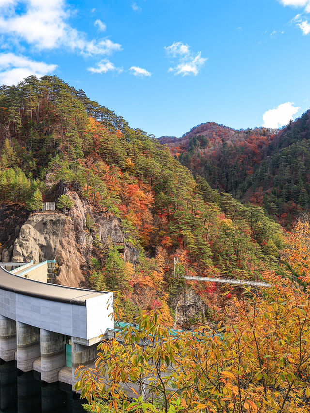 【栃木】自然の彩りの癒し旅