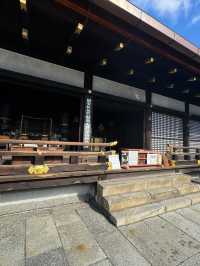 Toji Temple: A Must-Visit Spiritual Landmark in Japan