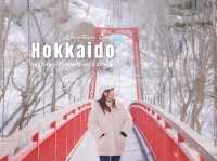 Hokkaido Winter~❄️🇯🇵