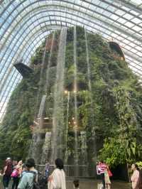 Blooming Beauty and Majestic Waterfalls: Exploring Gardens by the Bay