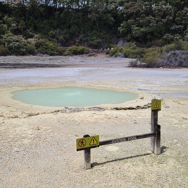 Wonders of Waiotapu: A Geothermal Adventure