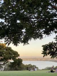 Discover the Magic of Kings Park, Perth