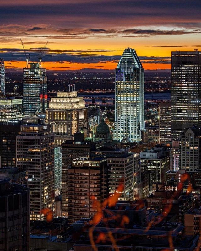 ┊Montreal Trip┊Beautiful Night View┊