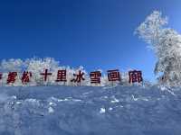 沒約上哈爾濱冰雪大世界，這些地方也不錯！