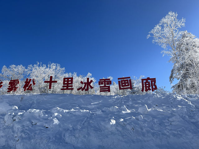 沒約上哈爾濱冰雪大世界，這些地方也不錯！