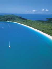 🌟 Airlie Beach Bliss: Harbour Cove's Hidden Gems 🏖️