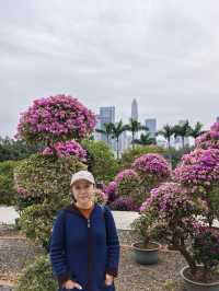 深圳蓮花山公園親子遊體驗之旅