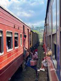 冬季反向遊 | 斯里蘭卡必體驗，高山茶園火車之旅！